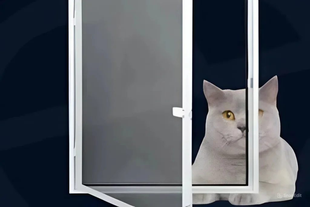 Bostancı Kedi Sineklik